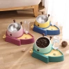 2021 new slow food bowl water dispenser, cat bowl, stainless steel dog bowl, 15-degree inclined bowl, anti-cervical vertebrae pet bowl, dog bowl details Picture